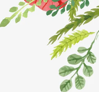 手绘树叶树枝素材免抠