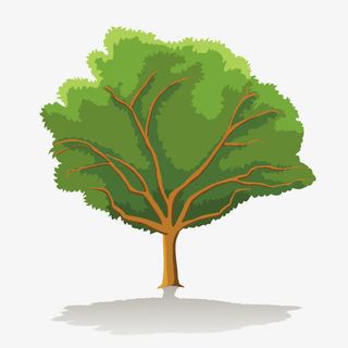 春天的树木免抠