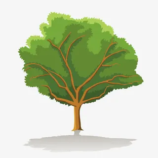 春天的树木免抠