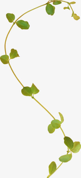 藤蔓类免抠PNG图片素材免抠