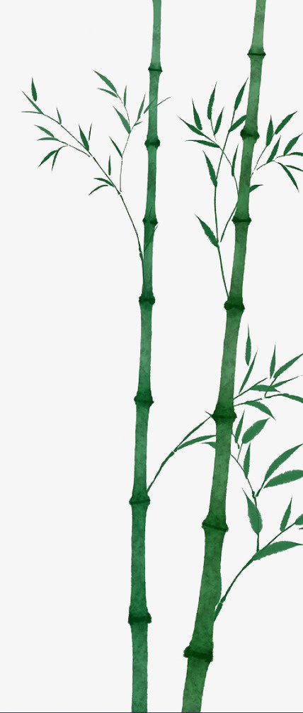 中国风水墨 竹子免抠
