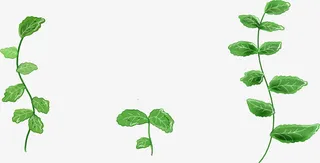 绿色高清彩绘树枝藤蔓免抠