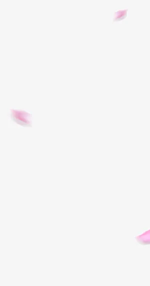 漂浮粉色花瓣悬空免抠