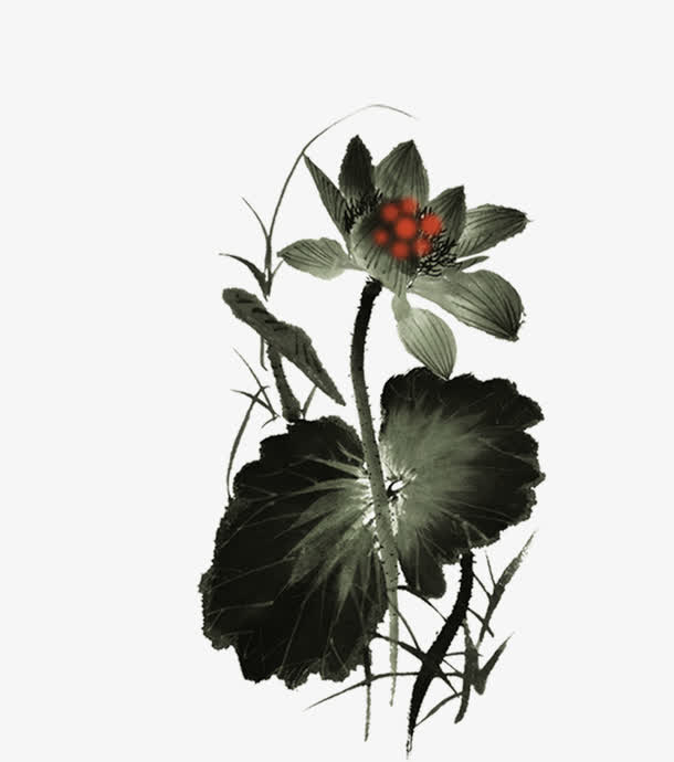 水墨荷花免抠