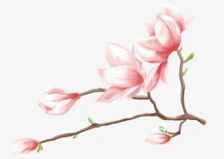 手绘古风粉色花朵桃花免抠