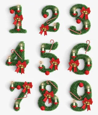 圣诞节主题植物数字设计免抠