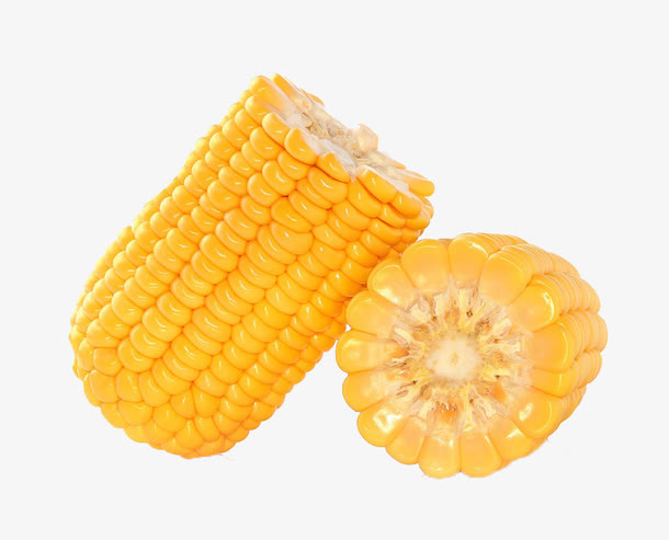 一根折成两段的玉米免抠