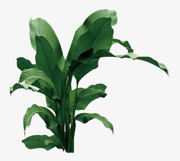 小山城火锅打折易拉宝图片- 菜鸟图库