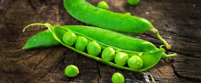 豌豆背景高清