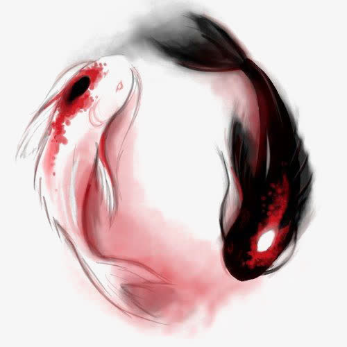 鲤鱼免抠