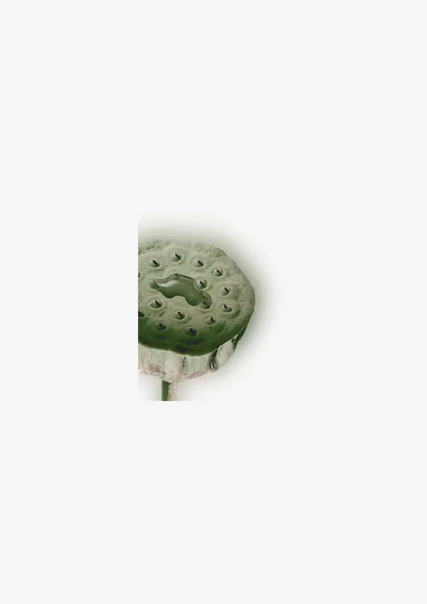 简约灰色莲蓬免抠