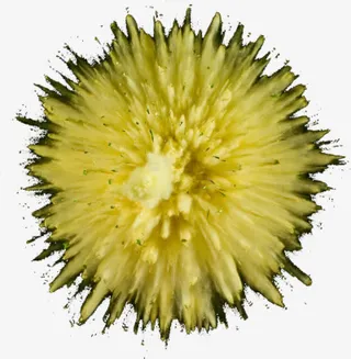 粉末爆炸效果免抠