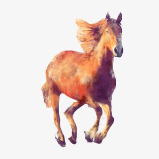 骏马奔跑素材图片免抠