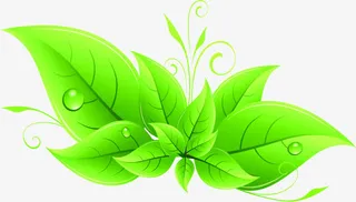 绿色春天美景树叶露珠设计免抠