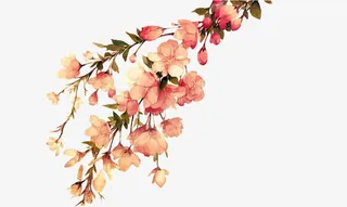 手绘桃花花枝绿花枝免抠