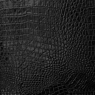 鳄鱼皮皮革背景免抠