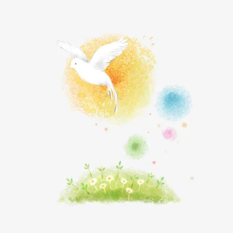 春天的白鸽免抠