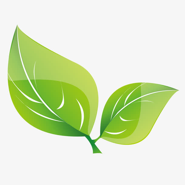 矢量绿色植物叶子免抠手绘/卡通卡通元素