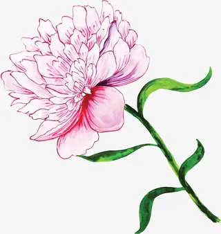 粉红色水彩春天花朵免抠