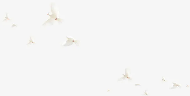 唯美白鸽美景户外免抠