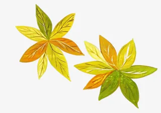 秋天树枝树叶免抠