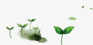 春天清新树叶草芽免抠