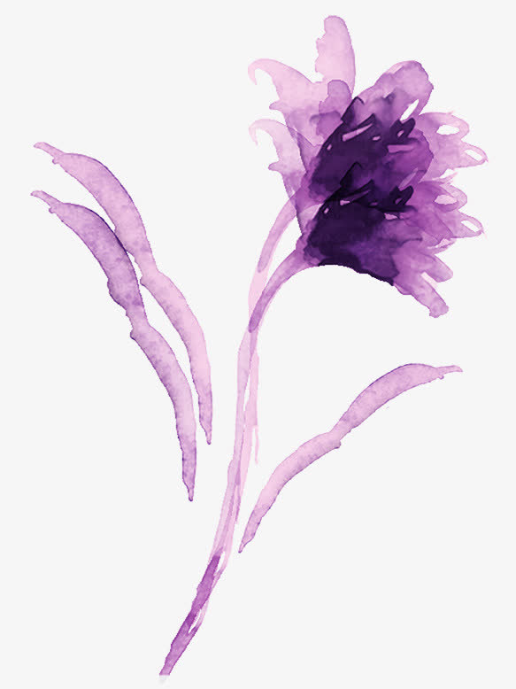 花纹画框花框花边免抠