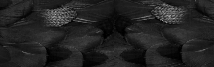 大黑底纹背景高清