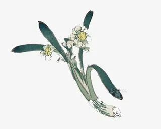 水彩国画中国风植物花免抠