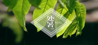 节气背景图高清