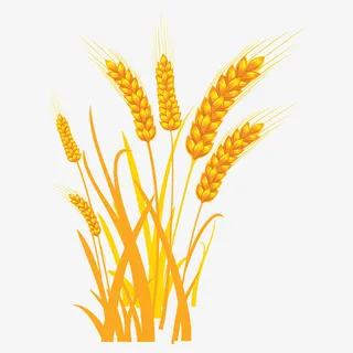卡通稻穗矢量图下载免抠