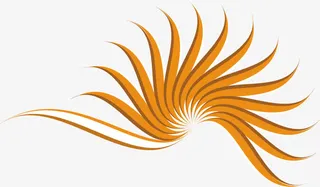 暖色优美线条免抠