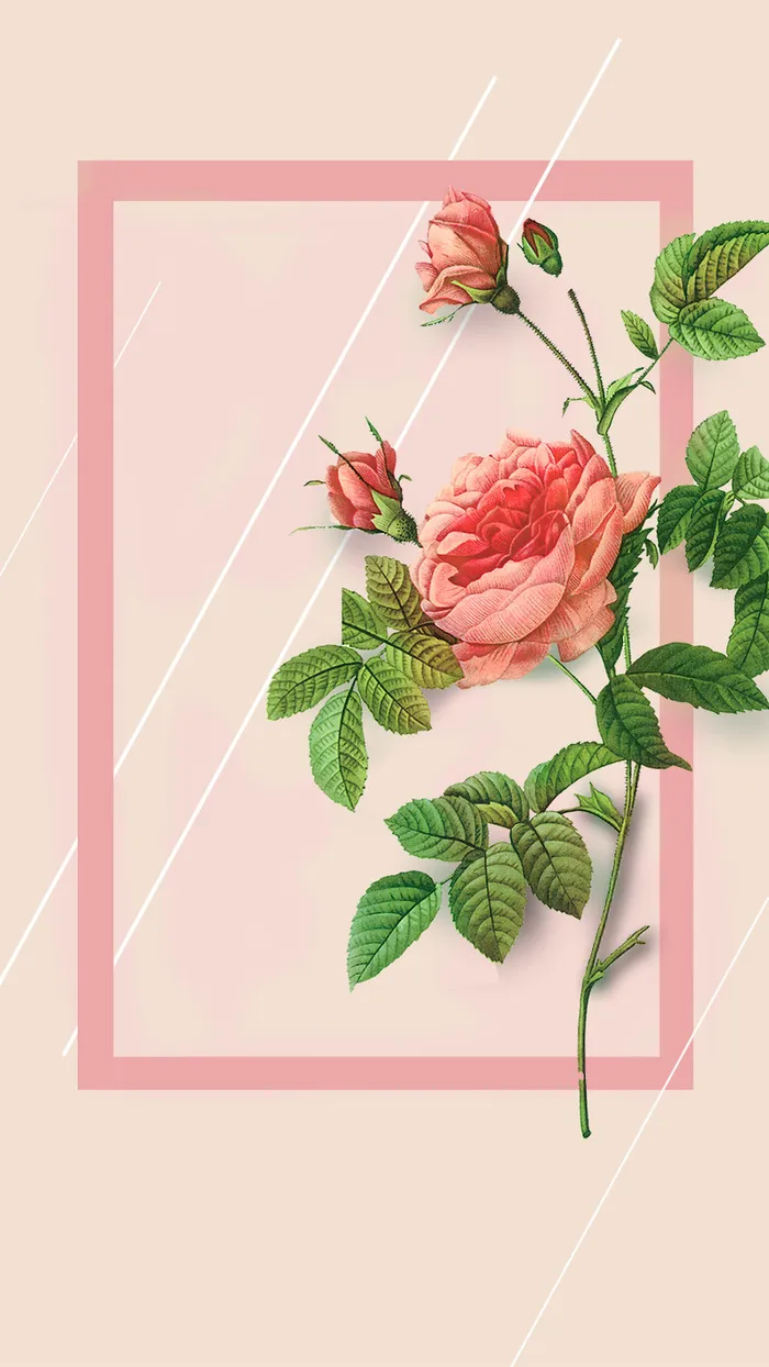 女生节粉色玫瑰边框H5背景素材高清
