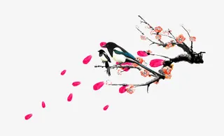 鸟梅花漂浮花瓣免抠