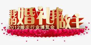 我的婚礼我做主免抠