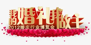 我的婚礼我做主免抠