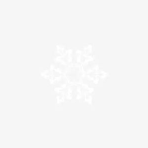 漂浮雪花免抠