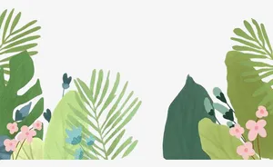 绿植矢量素材免抠