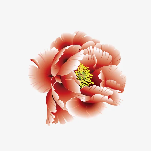 精美牡丹花免抠