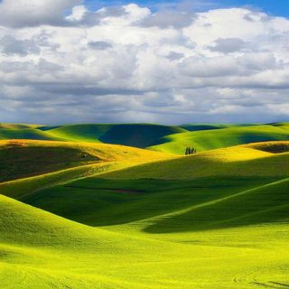 母婴奶粉食用背景高清