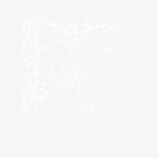 白色镂空花朵装饰素材免抠