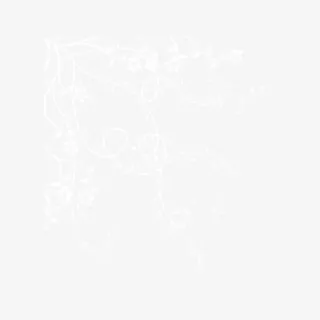 白色镂空花朵装饰素材免抠