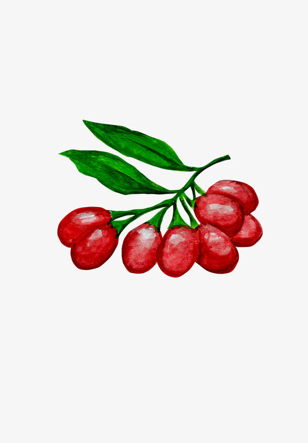 手绘风红枣免抠