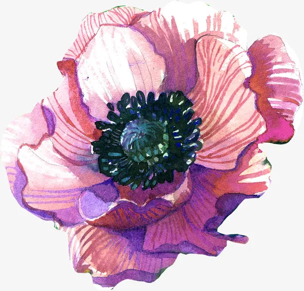 水彩粉紫色花朵简图免抠