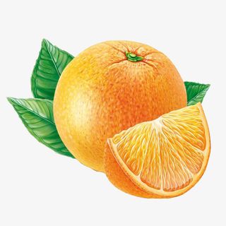 水果橙子插画免抠