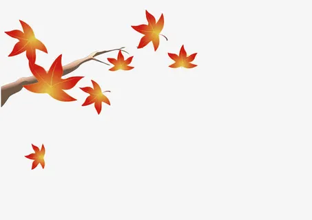 枫叶飘落免抠