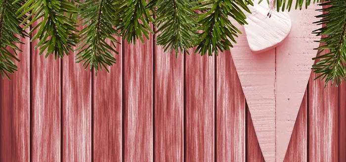 冬青边框简洁素材高清