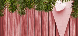 冬青边框简洁素材高清