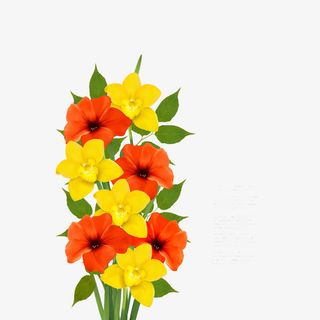 花卉鲜花野花装饰图案免抠