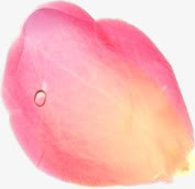 花瓣免抠